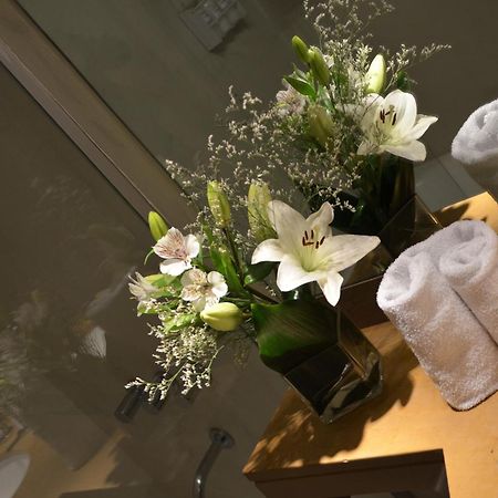 Bisonte Libertad Hotell Buenos Aires Rom bilde